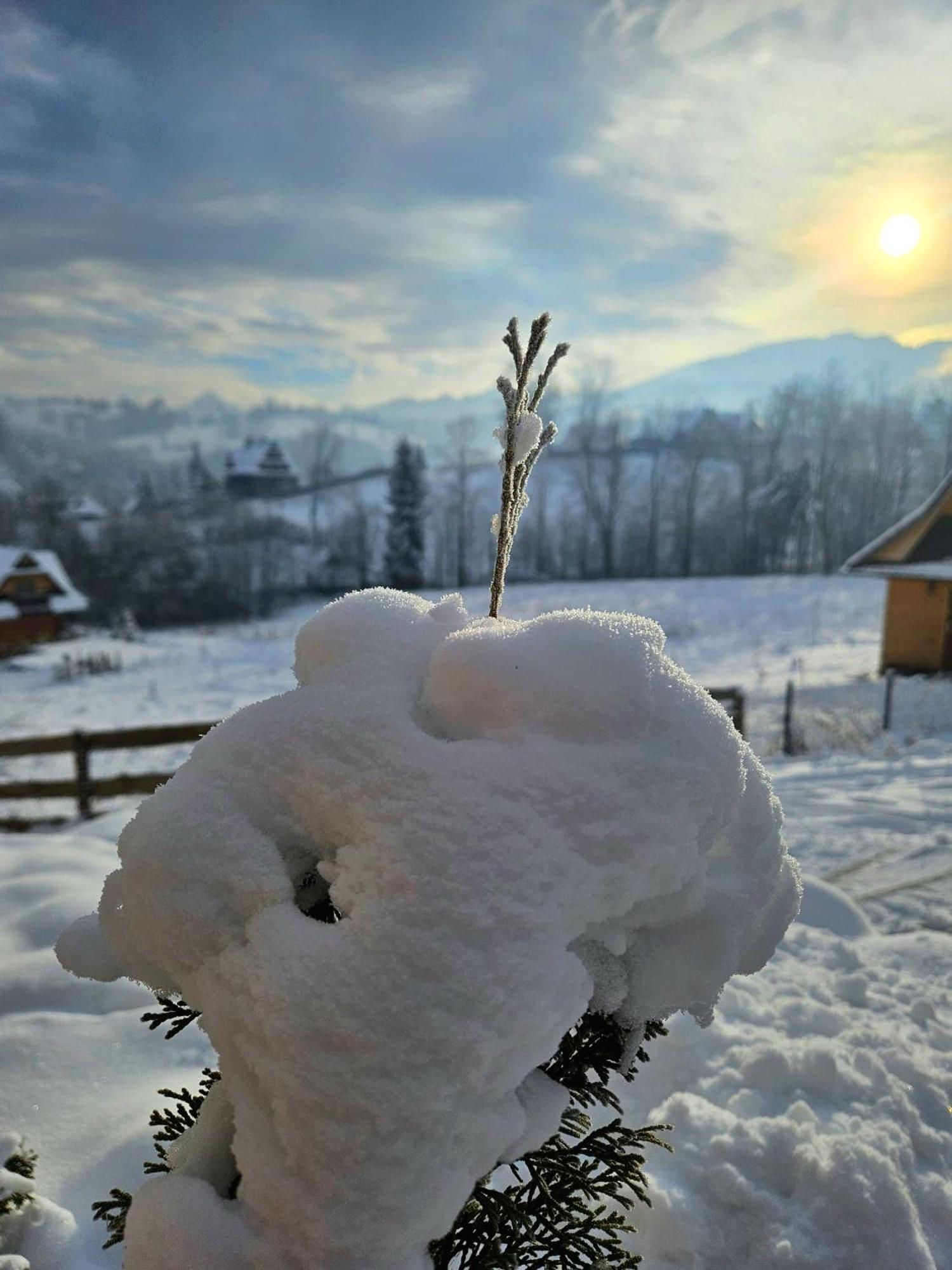 Goralska Chatka 3 Highland Cottage - Jacuzzi, Sauna, Split Ac, Private Parking, Mountains View Zakopane Eksteriør billede
